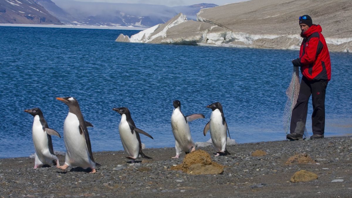 Češi znovu na Antarktidě. Krom tání ledovců zkoumají i hladinu stresu